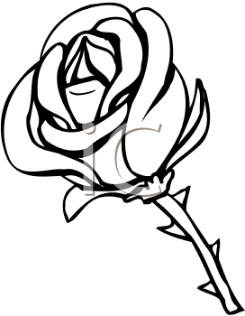 272x350 Rose With Thorns Clipart