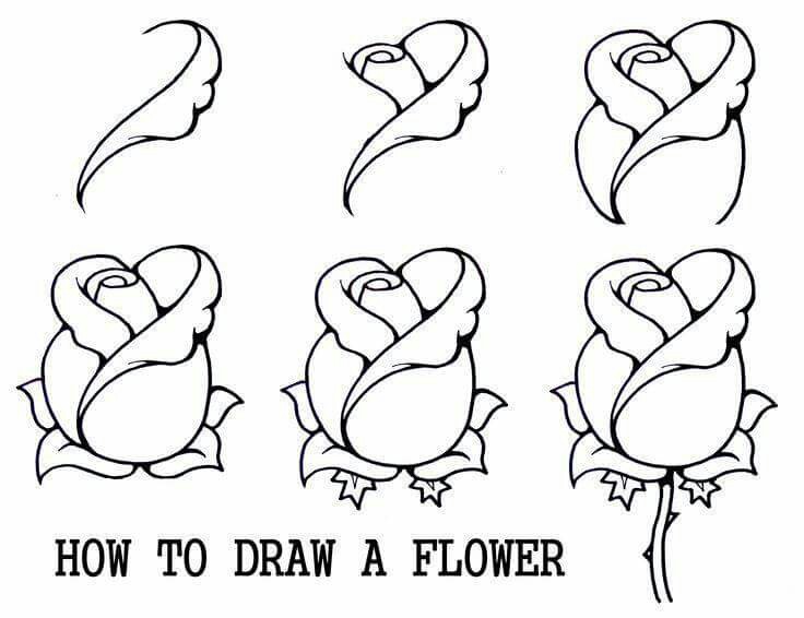 Rosebud Drawing at GetDrawings | Free download