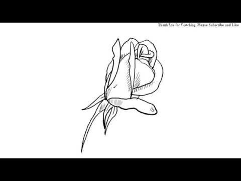 480x360 How To Draw A Beautiful Rose Bud Draw Under One Minute Easy Simple