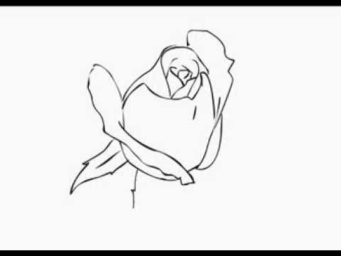 480x360 How To Draw A Simple Rose Bud Yzarts Yzarts