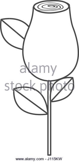 266x540 Rosebud Black And White Stock Photos Amp Images