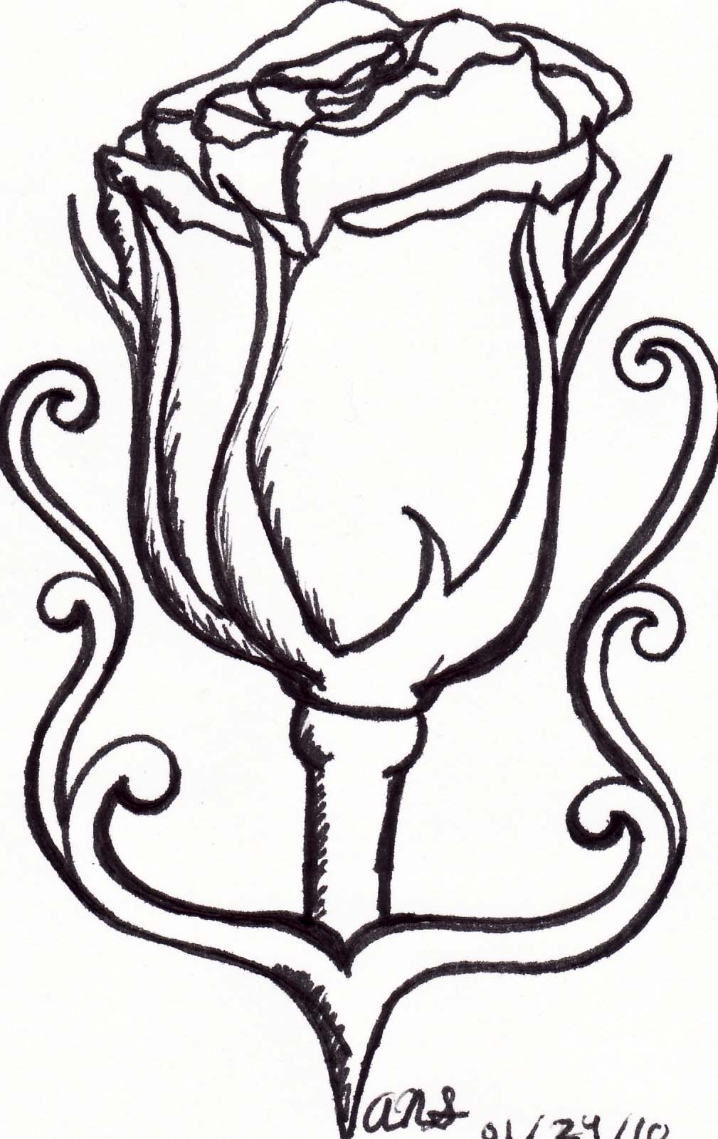 1009x1602 Rosebud Tattoo By Tattooedwingdesigns