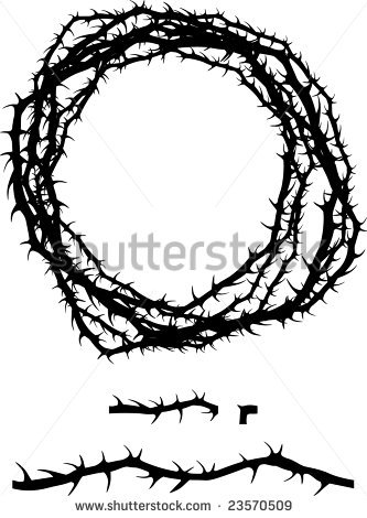 333x470 Drawn Rose Bush Thorn Sketch