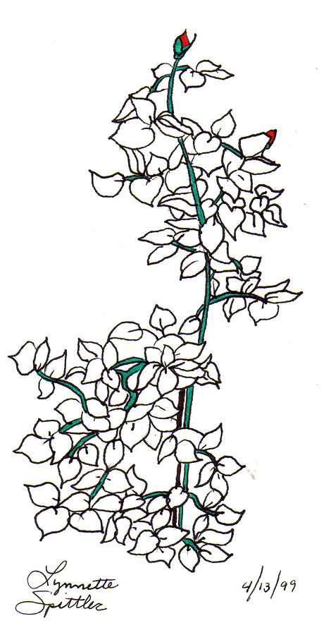 470x900 Rose Bush Drawing By Lynnette Jones