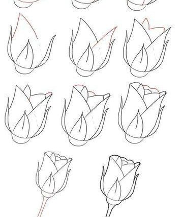 Rosebush Drawing at GetDrawings | Free download