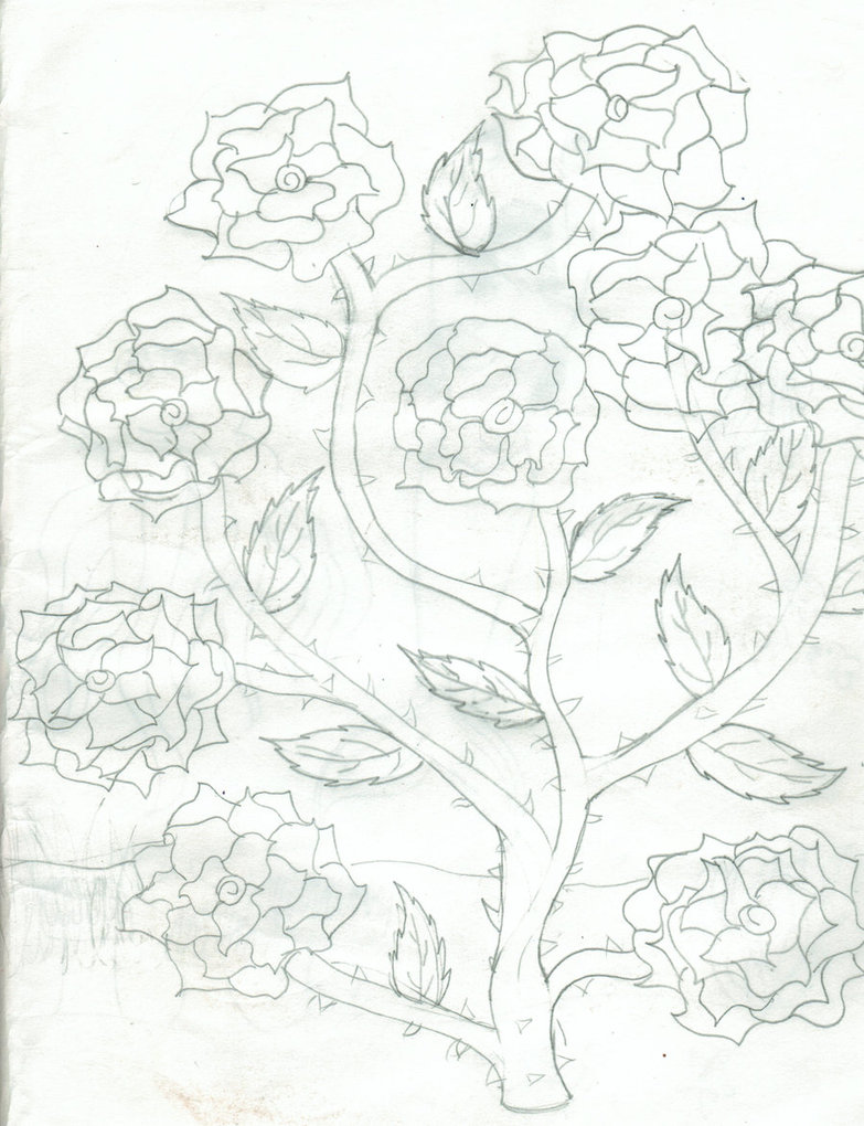 783x1020 Rose Bush By Bugs1117