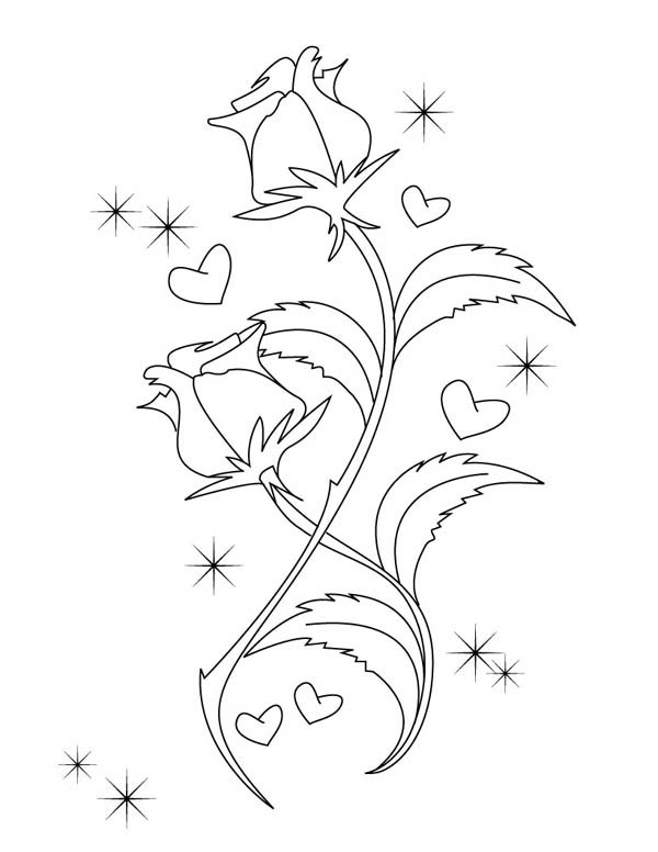 600x776 Hearts Amp Roses, Beautiful Drawing Of Hearts And Roses Coloring