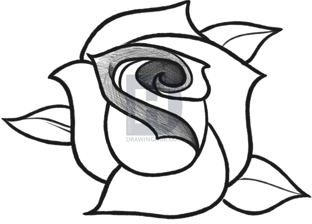 1002x720 Photos Black And White Sketches Of Roses Step,