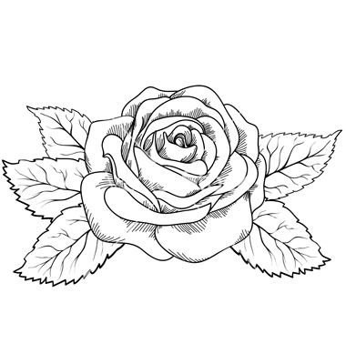 Roses Black And White Drawing at GetDrawings | Free download