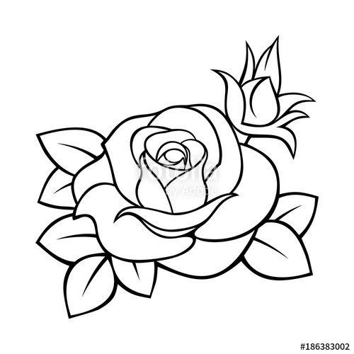 500x500 Vector Black White Contour Drawing Of A Rose. Stock Image