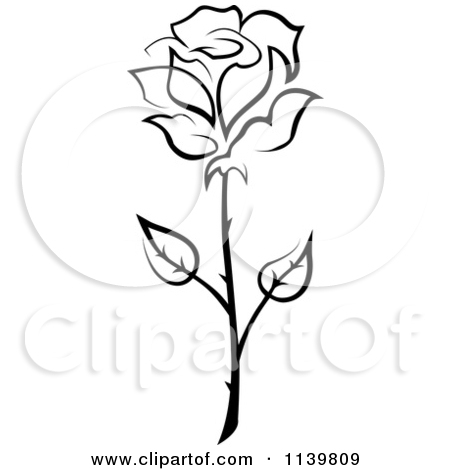 450x470 White Rose Clipart Flower Drawing