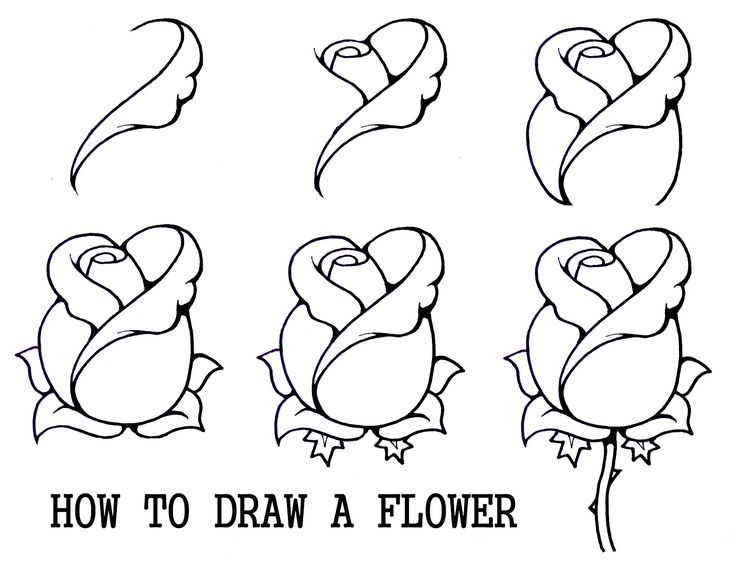 736x566 Inspiring Ideas Easy To Draw Roses How A Rose Step By Drawing