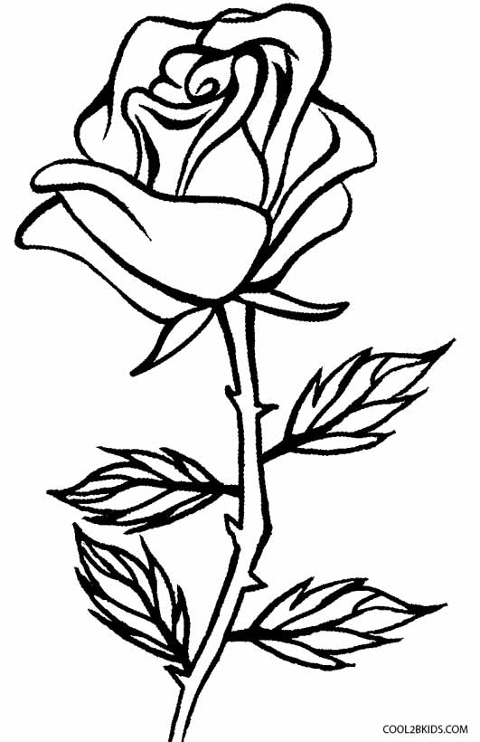 531x820 Coloring Pages Of Roses Preschool In Pretty Draw Page Printable
