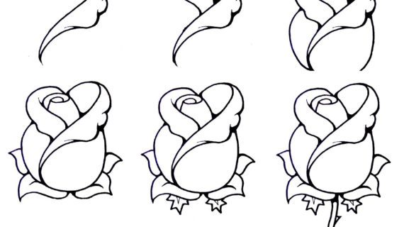 570x320 How Draw A Open Rose Step By For Beginners How