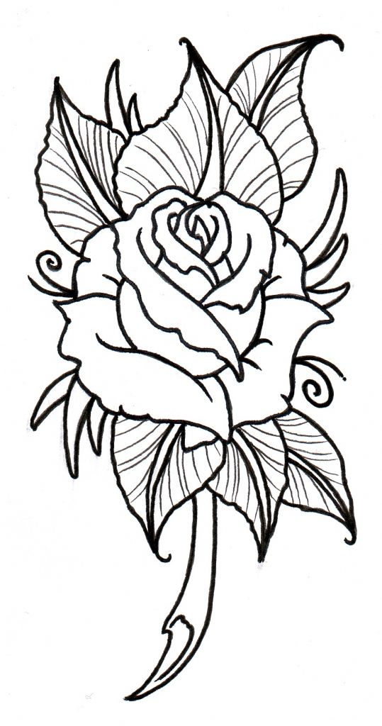 539x1024 Rose Drawing Outlines 1000 Images About Art On Easy