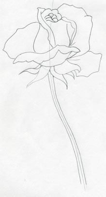 219x406 Rose Drawings, Rose Pencil Drawings, Drawing Of A Rose Roses