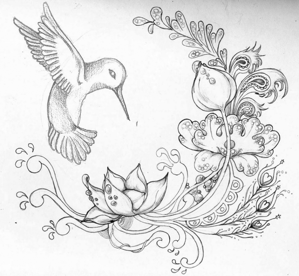 1024x946 Pencil Draw Picture In All Flower Best Rose Drawings Ideas