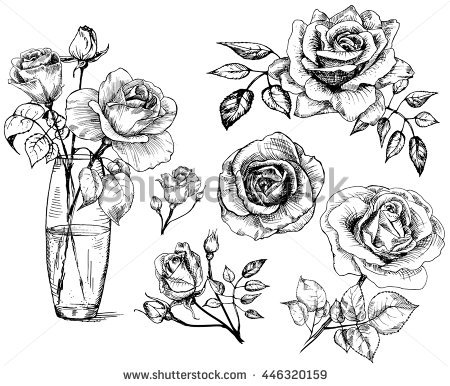 450x386 Drawn Line Rose