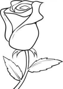 213x299 A Flower Drawing Easy
