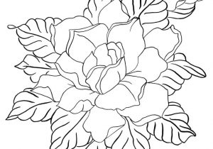 300x210 The Images Collection Of Rose Tattoo Beautiful Roses Drawing Apna