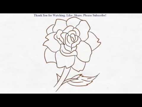 480x360 How To Draw A Simple Beautiful Rose Flower