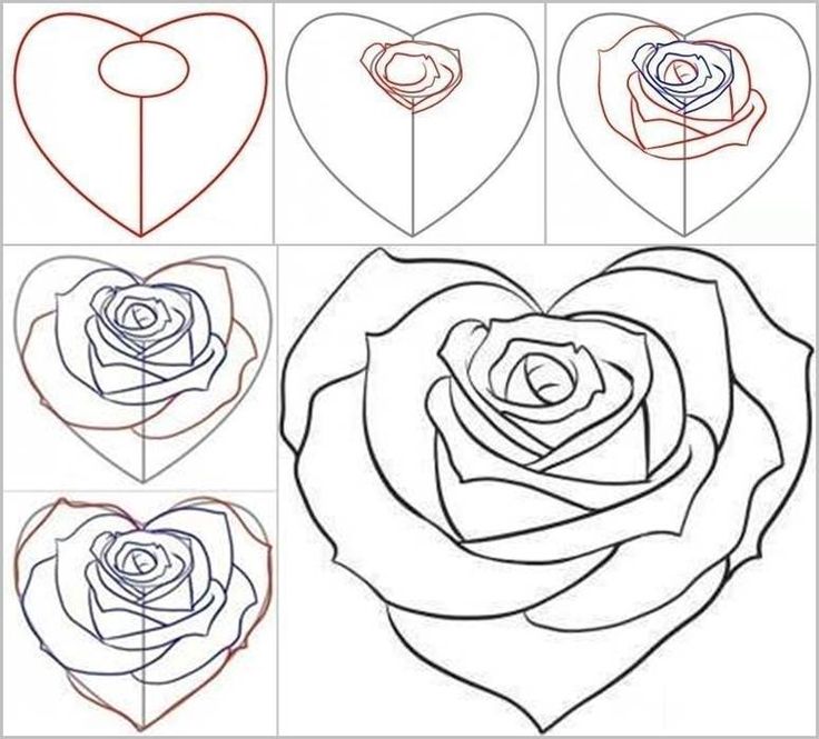 736x665 Drawing Step By Step Rose 25 Trending Rose Drawing Simple Ideas