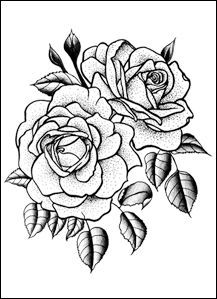 217x299 Peonies By Thomas Cardiff