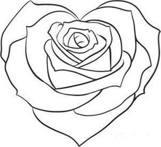 236x215 Gallery Drawings Of Roses,