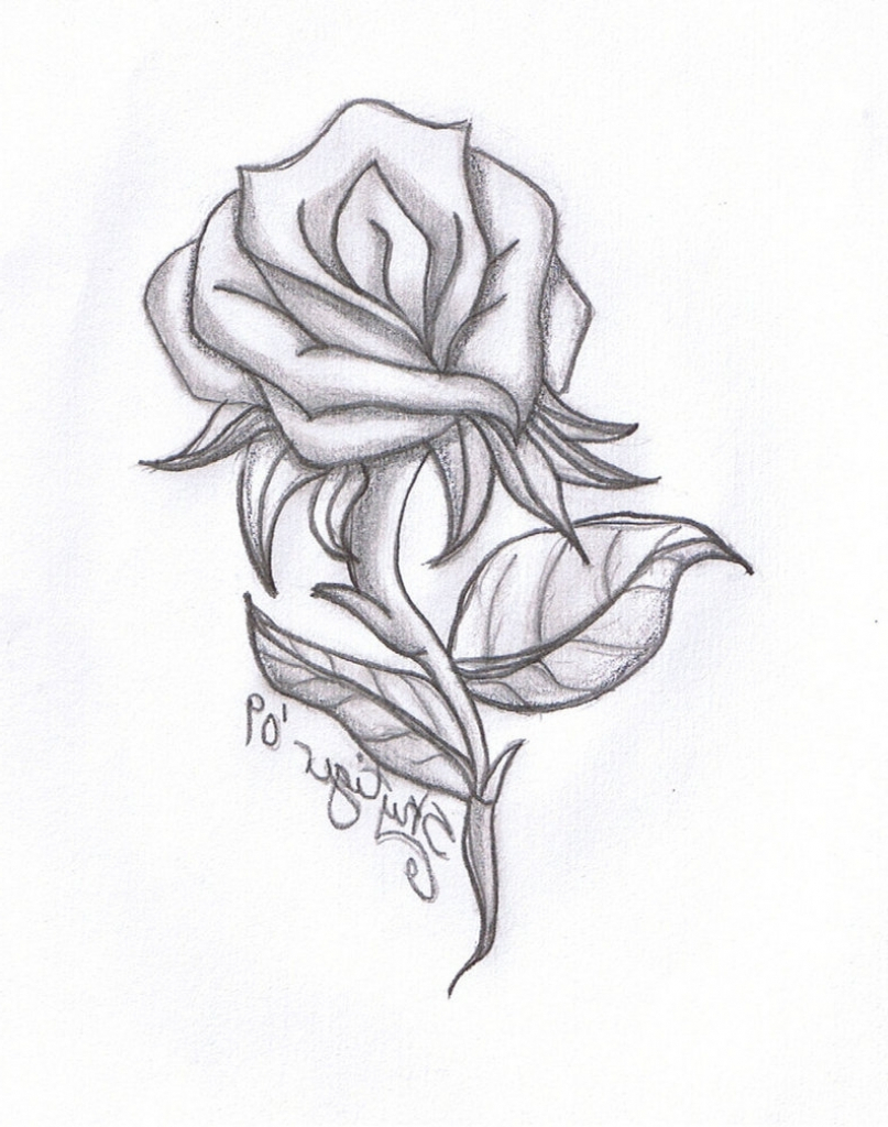 Roses Easy Drawing at GetDrawings | Free download