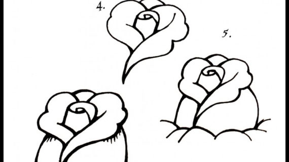 570x320 Simple Rose Drawing Step By Step Step By Step Instructions On How