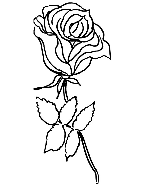 612x792 Rose Coloring Page