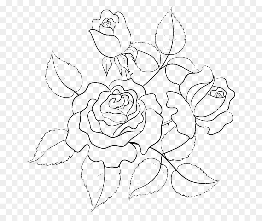 900x760 Rose Flower Drawing Illustration