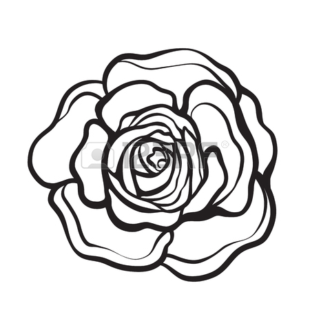 450x450 Rose Flower Isolated Outline Hand Drawn. Stock Line Vector