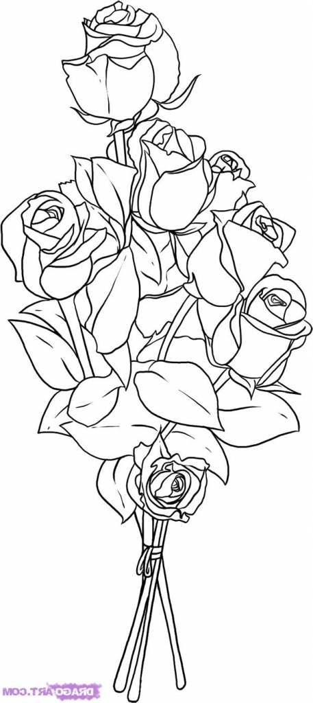 457x1024 Rose Flowers Drawing How To Draw Roses Step Step Flowers Pop