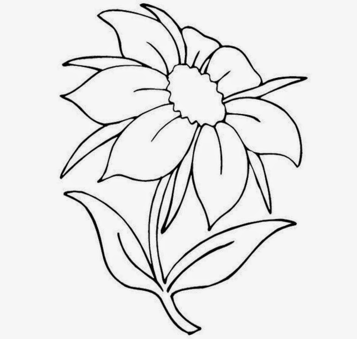 1177x1117 Easy Flower Pictures To Draw [ How To Draw Easy Flowers