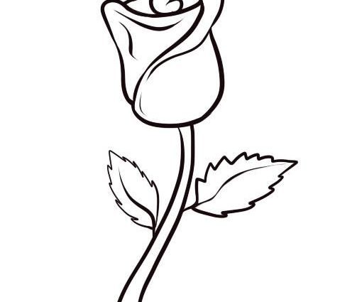 503x425 Easy To Draw Roses