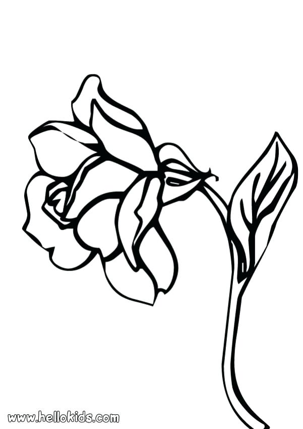 601x850 Coloring Pages Rose Coloring Page With Roses And Leaves Coloring