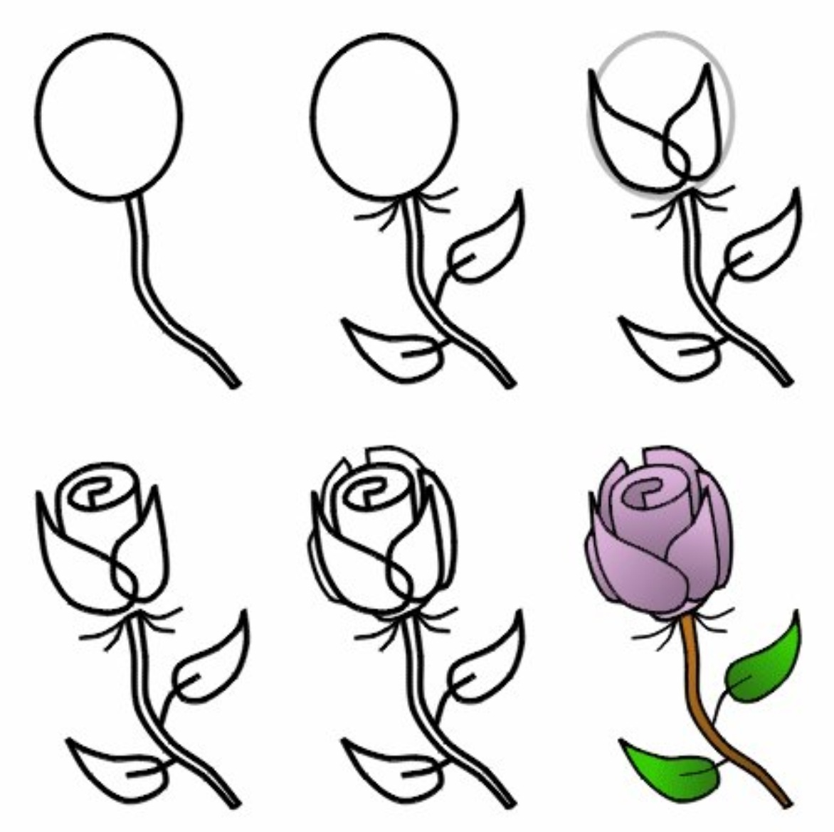 1172x1170 Drawing Roses Drawings In Conjunction With How To Draw A Rose