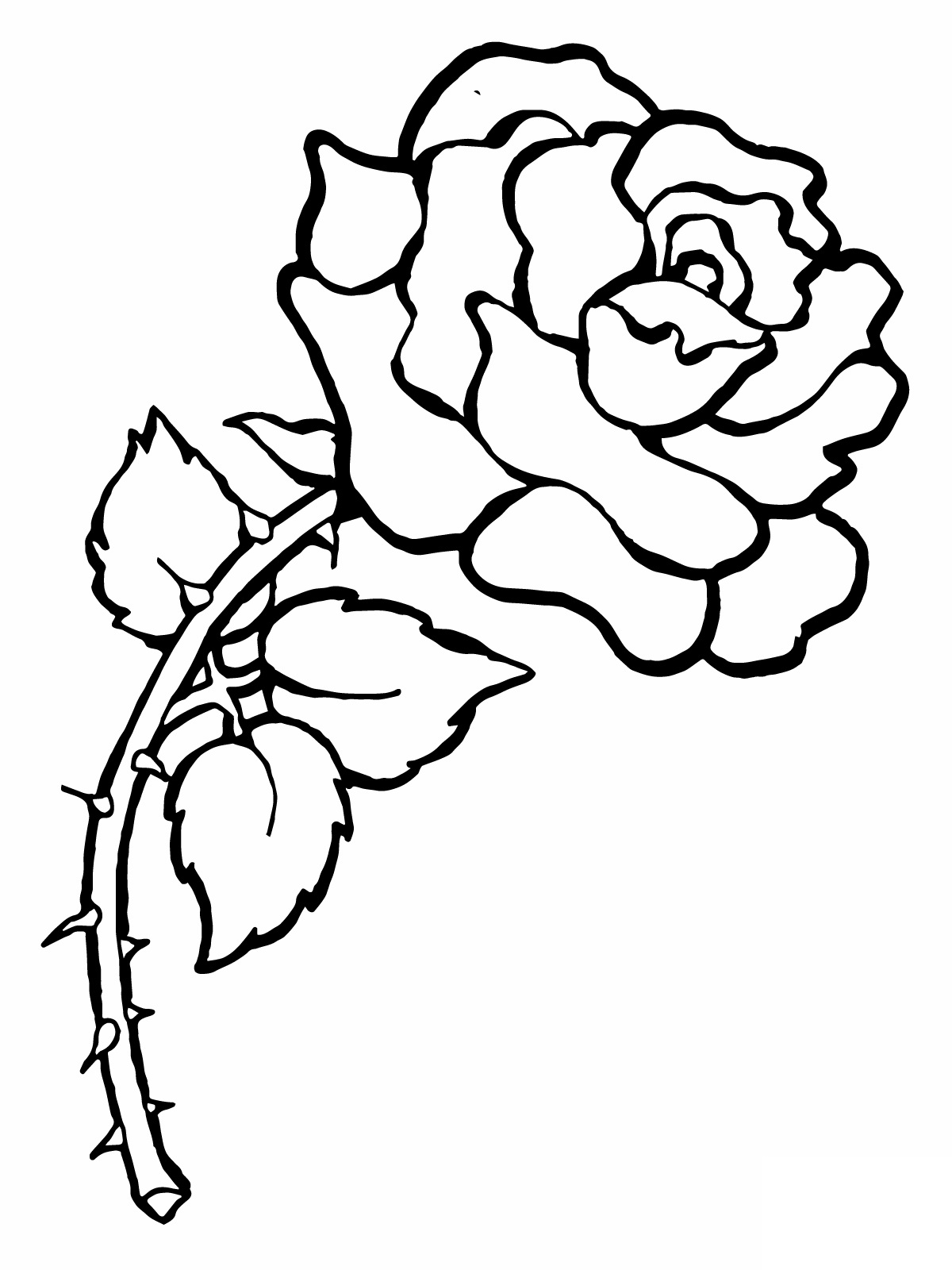 1200x1600 Coloring Pages Draw A Rose Coloring Pages For Kids