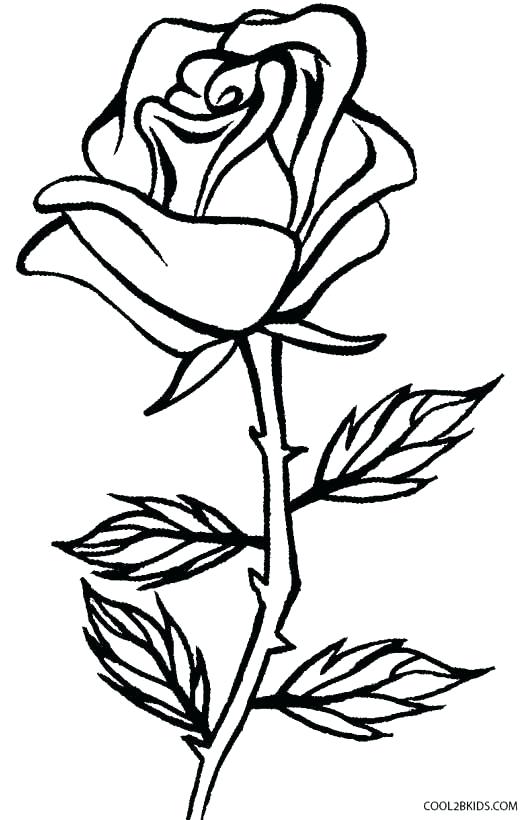 531x820 Free Printable Rose Coloring Pages Free Printable Roses Coloring