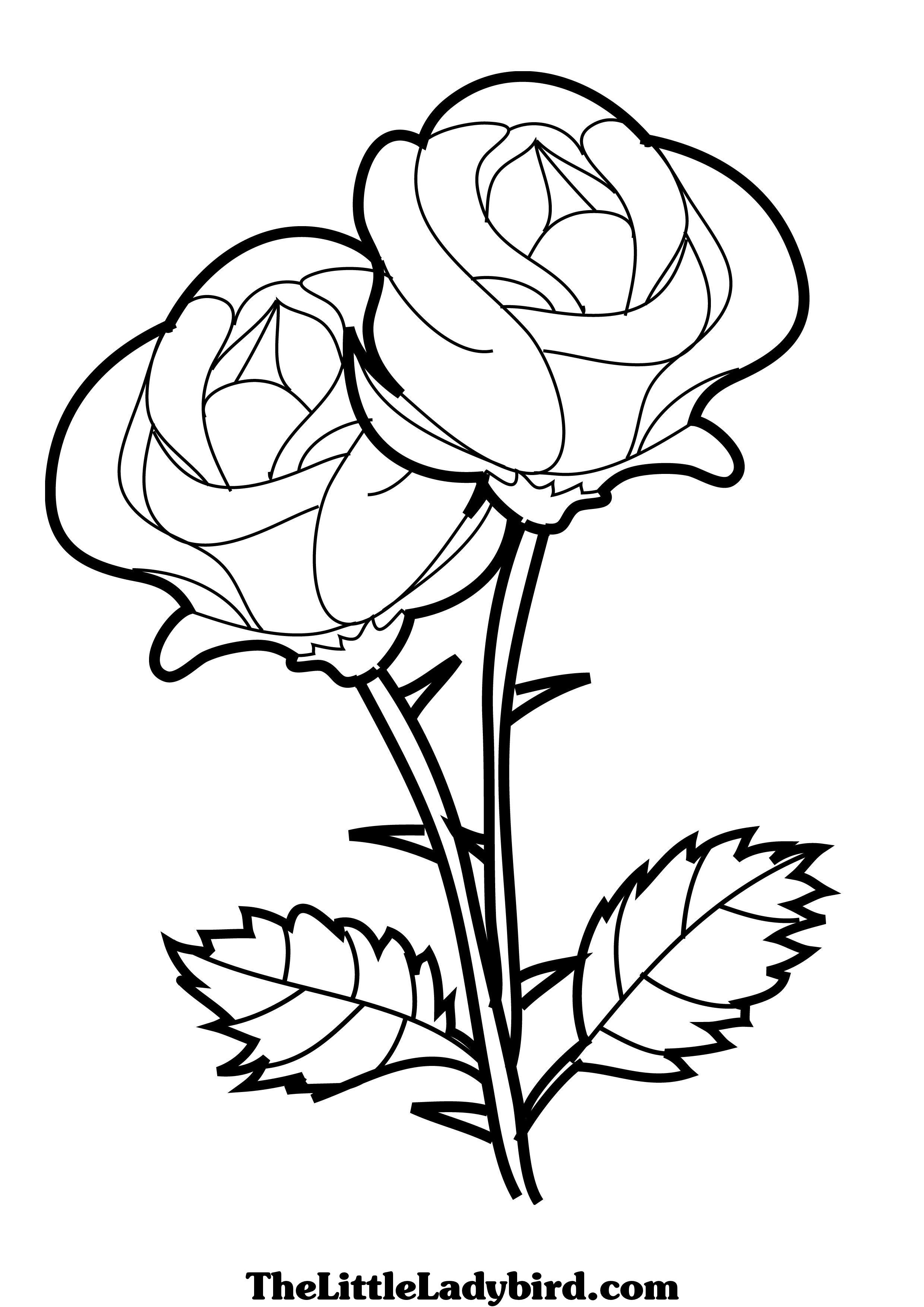 2480x3508 Three Flowers Coloring Pages For Kids Luxury Flowers Drawing Pages
