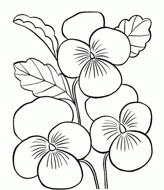 530x613 Flower Page Printable Coloring Sheets Flower Coloring Pages