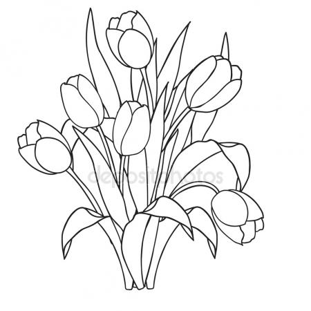 450x450 Flower Rose, Sketch, Painting. Hand Drawing. White Bud, Petals