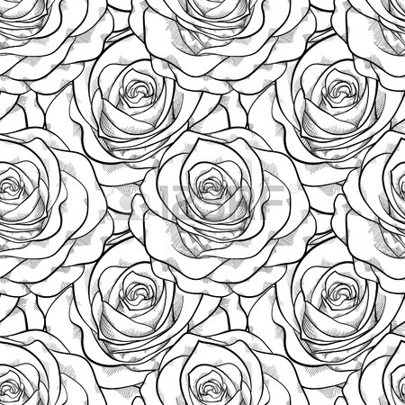 Roses Line Drawing