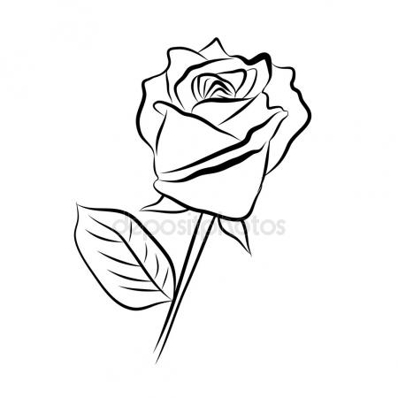 450x450 Line Drawing Of Rose Simple Line Vector Stock Vector
