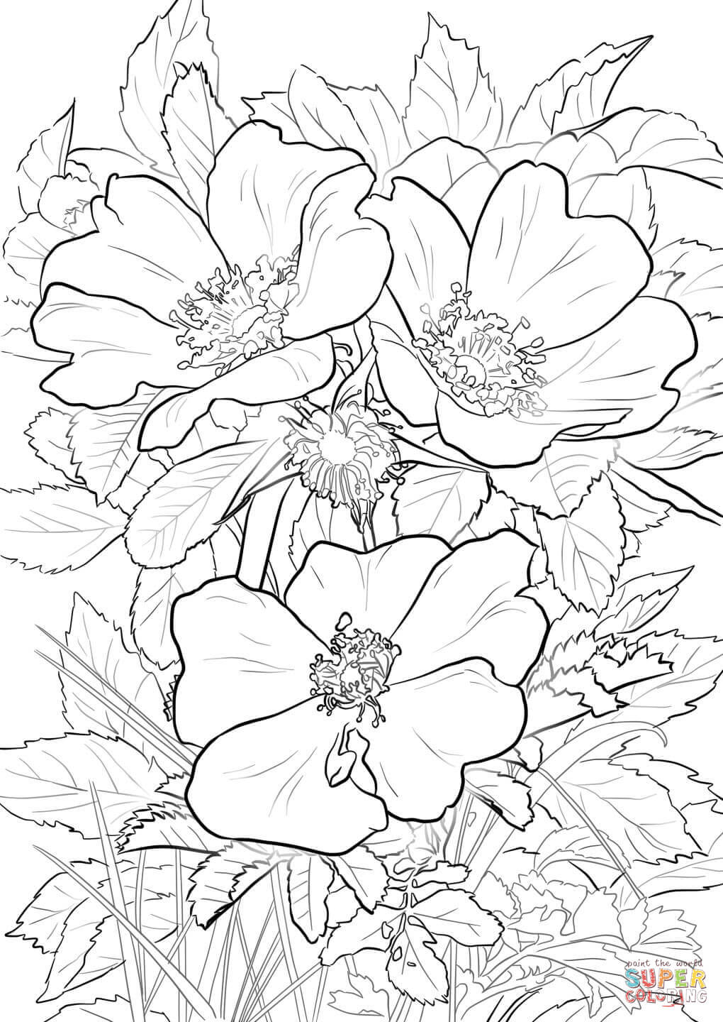 1020x1440 Wild Prairie Rose Coloring Page Free Printable Coloring Pages