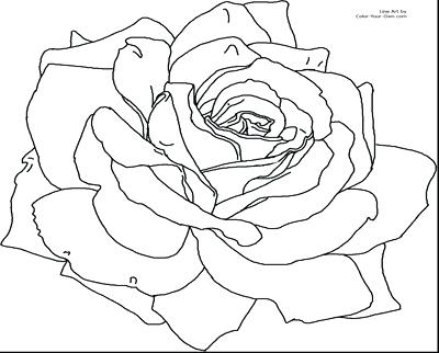 400x322 Drawing Coloring Pages Synthesis.site