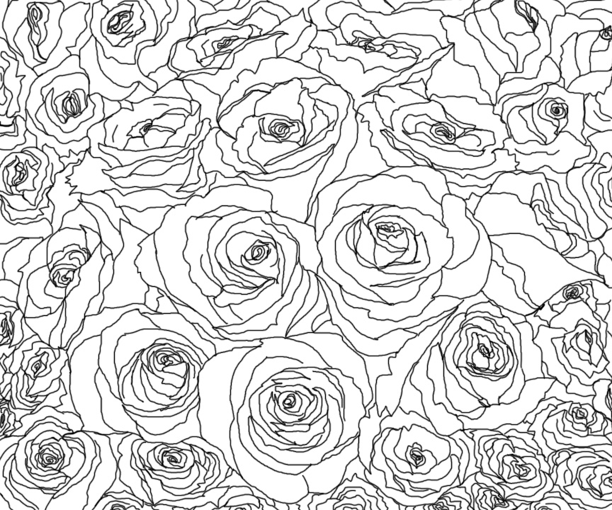 864x720 Rose Drawing Picture