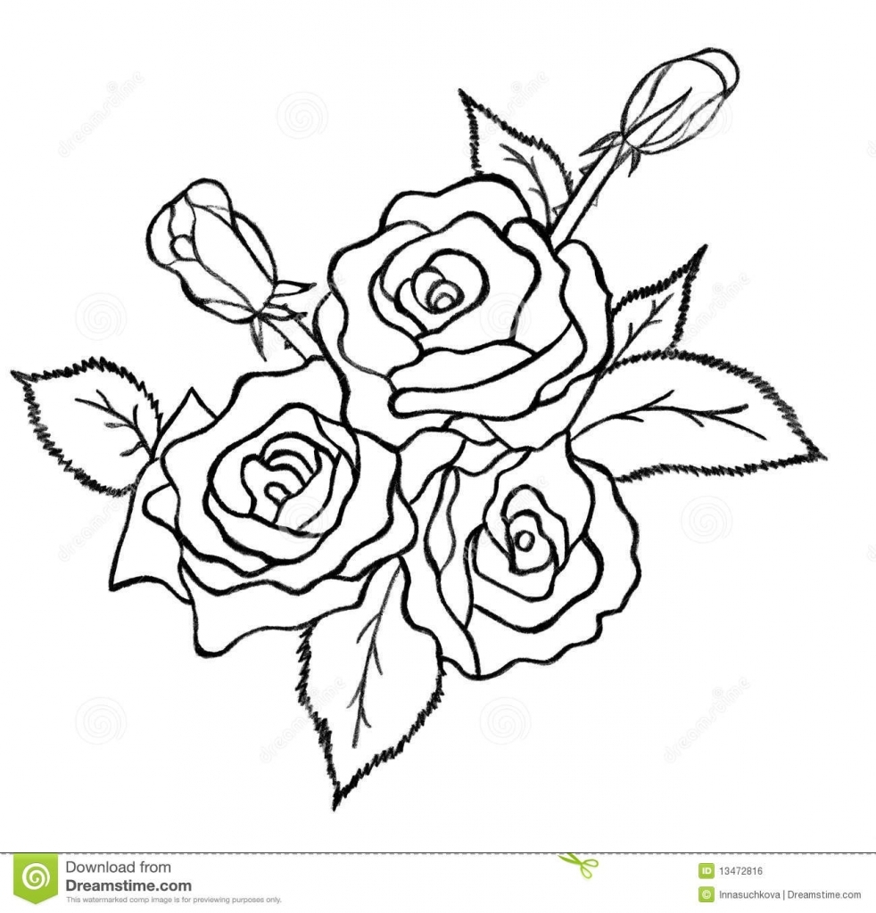 982x1024 How To Draw A Bouquet Of Roses Pencil Drawing Roses Stock Photos