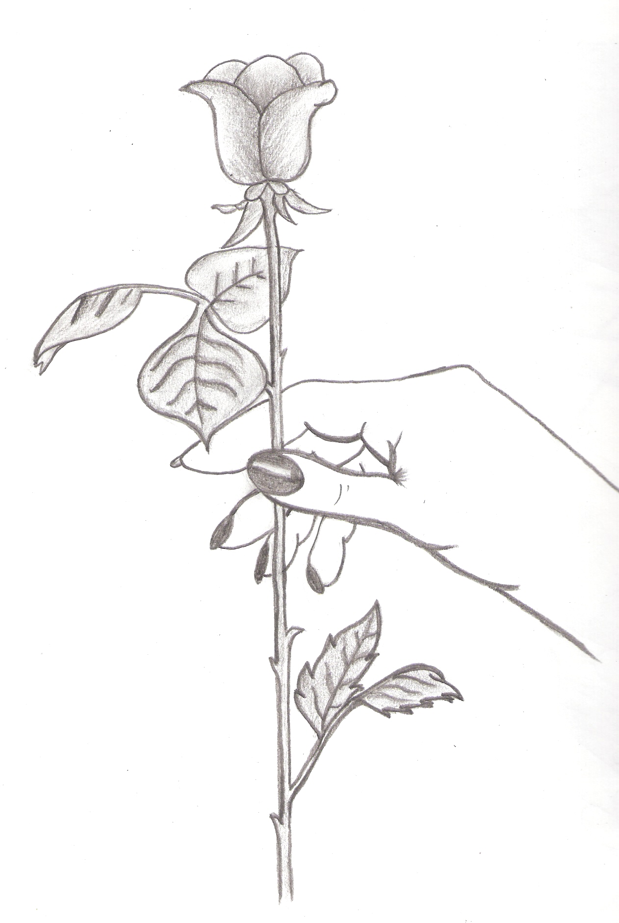 1262x1882 Priyanka Sketches